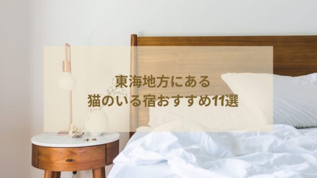 東海地方にある猫のいる宿おすすめ11選!猫好き必見の癒し旅館はどこ?