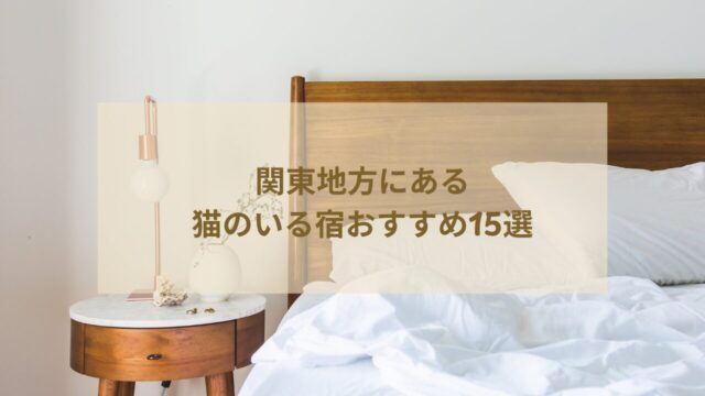関東地方で猫がいる宿おすすめ15選!看板猫がいる温泉宿はある?